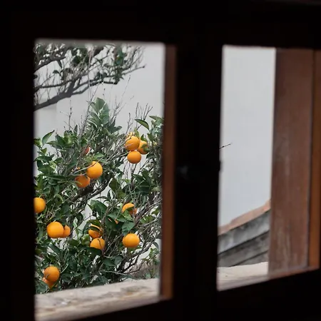 Best Located Duplex Apartment Dubrovnik Exterior foto